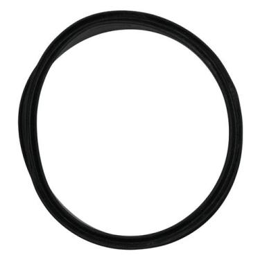 Imagem de Guarnicao Tampa Porca Trava Bomba Boia Peugeot 306 Xantia - DSC