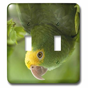 Imagem de 3dRose lsp_85626_2 Parrot Amazon Parrot Tropical Bird Belize Sa02 Pox0118 Pete Oxford Interruptor duplo