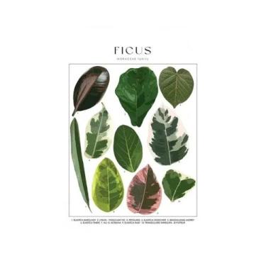 Imagem de Impressão Em Lona HD De Plantas Tropicais, Arte Botânica Clássica Mini