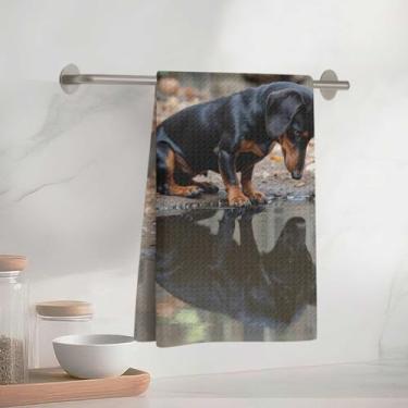 Imagem de Toalhas de cozinha com padrão de dachshund adorável 33 x 58 cm, toalha de prato decorativa de microfibra absorvente, toalhas de mão de waffle para cozinha, casa, banheiro, presentes para amantes de