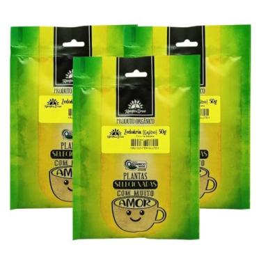 Imagem de Kit Zedoária Cúrcuma Gajitsu Orgânica Raíz Pó Puro 50g cada