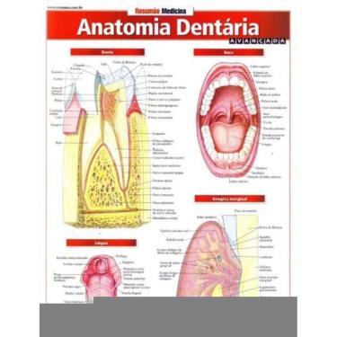 Imagem de Resumao Medicina - Anatomia Dentária Avançada
