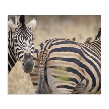 Imagem de Imagens de animais preto e branco para decoração de parede pássaro nas costas de zebra imagem de animal vintage impressão de imagem de cavalo em tela pintura de parede zebra decoração de parede para