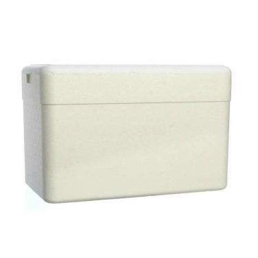 Imagem de Caixa Térmica Isopor 60 Litros Gelo Cerveja Refrigerante