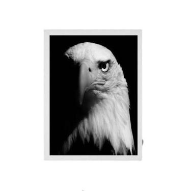Imagem de Quadro Fotografia Águia 24X18Cm - Com Vidro - Madeira Preta - Quadros 