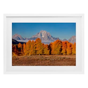 Imagem de Stupell Industries Linha de árvore de outono com impressão emoldurada de bétula de montanha sob vidro, design por Shelley Carlisle, 43 x 58