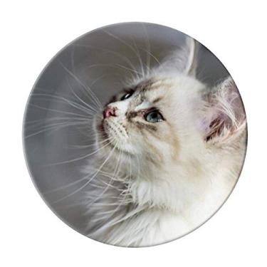 Imagem de Prato de porcelana decorativa com perfil de animal de estimação branco e gato bonito para mesa de jantar