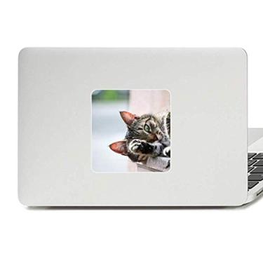Imagem de Adesivo de vinil com foto de gato de atividade animal, decoração de PC