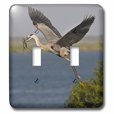 Imagem de 3dRose lsp_147002_2 Grande pássaro azul com material de ninho, Texas, EUA Us44 Ldi0896 Larry Ditto Interruptor duplo