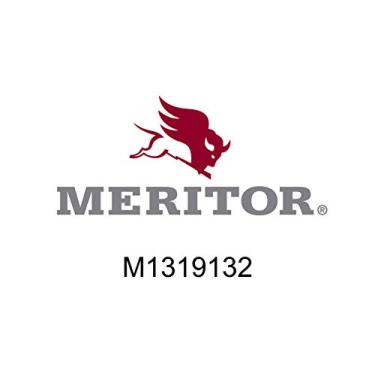 Imagem de Meritor M1319132 embreagem deslizante de transmissão