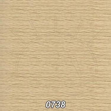 Imagem de Linha DMC Mouliné Spécial 8m - 9, 0738