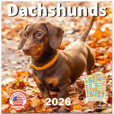Imagem de Calendário de parede Dachshunds 2026 - Weiner Dog 2026, inclui mais de 100 adesivos de lembrete | 30,5 x 61 cm aberto | Presente | Feito nos EUA