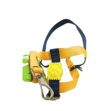 Imagem de Conjunto Peitoral Neon Ajustável com Guia para Cachorro - Segurança e 