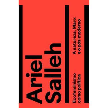 Imagem de Ecofeminismo Como Política