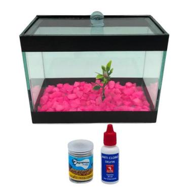 Imagem de Aquario Beteira 2 Litros Completo Com Pedra Planta Anti- Cloro Ração -