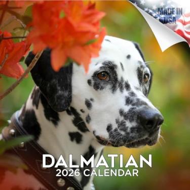 Imagem de Calendário dálmata 2024 2025 - calendário de parede mensal de raça de cachorro - 30,5 x 61 cm aberto - papel grosso sem derramamento - Presente - Calendário de planejamento e organização de