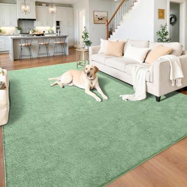 Imagem de Chicrug Tapetes minimalistas laváveis 12 x 18 cm para quarto, sala de estar, sala de aula, tapete moderno de espuma viscoelástica macia para berçário infantil, tapete interno de camada baixa para