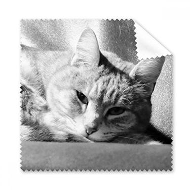 Imagem de Animal Puro Cinza Gato Fotografia Pano de Limpeza de Imagem Pano de Limpeza de Tela de Celular 5 peças