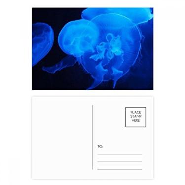 Imagem de Ocean Jellyfish Science Nature conjunto de cartões postais de aniversário para enviar cartões de agradecimento