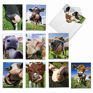 Imagem de The Best Card Company - 10 adoráveis cartões de notas em branco (10 x 13 cm) – Cartas de animais e animais selvagens, conjunto infantil em caixa variada – Cowlicks M4604OCB-B1x10