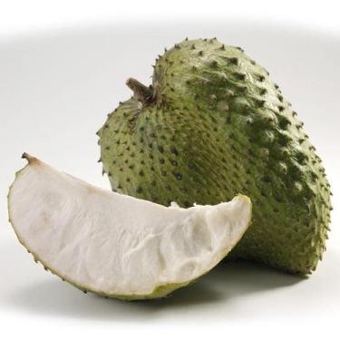 Imagem de Muda de Graviola contra Câncer - no-brand