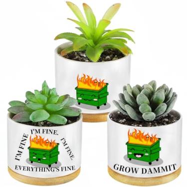 Imagem de Baderke 3 peças de vasos de plantas suculentas de fogo, presentes para funcionários, lixeira, fogo, mesa, acessórios de suculentas, para enfermeiras, professores, estudantes, presentes inspiradores