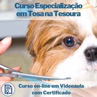 Imagem de Curso on-line em videoaula de Especialização em Tosa na Tesoura com Certificado