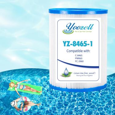 Imagem de Yoozell Cartucho de filtro C-8465 Spa substitui Watkins 31114, PWK65, Filbur FC-3960, 71827, 71828, Darlly 80651 filtro de banheira de hidromassagem, Watkins 65 metros quadrados Hot Spring, 1 pacote
