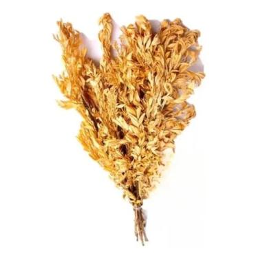 Imagem de Buque Folhagem Carobinha Desidratada Alvejada Arranjo Crespa - FLORA F