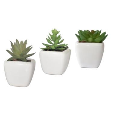 Imagem de Vasinhos Planta Flores Artificiais Suculenta Casa Decoração Kit 3 Preto - Conjunto de Suculentas Falsas para Decoração Moderna de Mesa, Escritório, Sala e Ambientes Internos(branco)