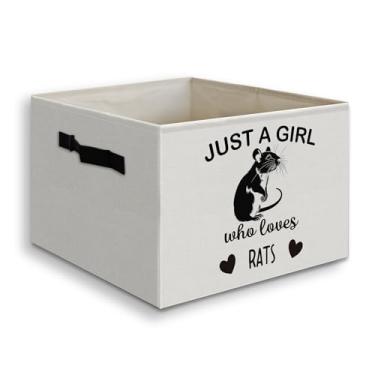 Imagem de JUIOEIU Presentes de rato para amantes de ratos, cesta dobrável, caixa de armazenamento com alças, presentes para amantes de animais, apenas uma garota que ama ratos, cesta organizadora dobrável para