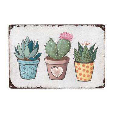 Imagem de Cacto suculento em vaso (1)