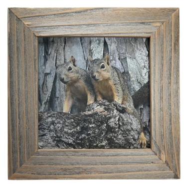 Imagem de Moving Truths Adorável impressão de esquilos gêmeos - Arte de parede de esquilo rústico e decoração de mesa ou prateleira para amantes de animais - Presente de decoração de natureza de fazenda