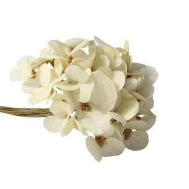 Imagem de Moedinha no Espeta Nariz - Pense Flores