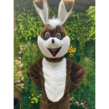 Imagem de Fantasia Coelho Da Pascoa,coelhinho,adulto,traje,roupa - Fantasia Bras