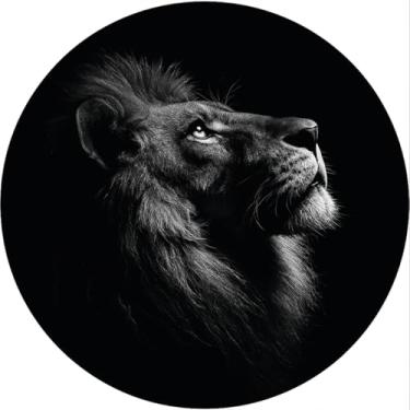 Imagem de Capa para estepe Ecosport Crossfox Leão CN935 - Lorben