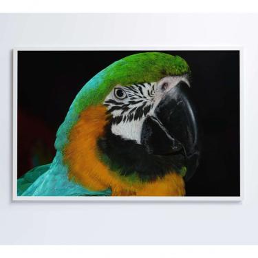 Imagem de Quadro Arara Verde 120x80 Cm Tecido Canvas
