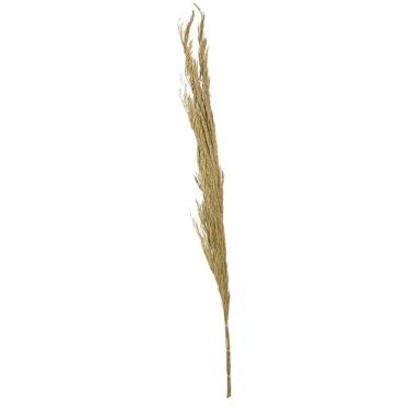 Imagem de Folhagem Pinheiro Em Plumas Desidratado Com 3 Hastes Plaha Natural 181 Cm F04 - D'rossi