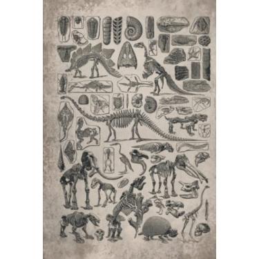 Imagem de Paleontology Notebook Hardcover: Vintage paleontology fossil print included Dinosaurs, Blank Lined notebook, Planner Journal, To do list notebook, Daily Organizer, 6 x 9 inch, 110 pages