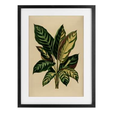 Imagem de Stupell Industries Folhas tropicais folhas verdes impressão emoldurada preta sob vidro, design por Petal Prints Design, 20 x 14