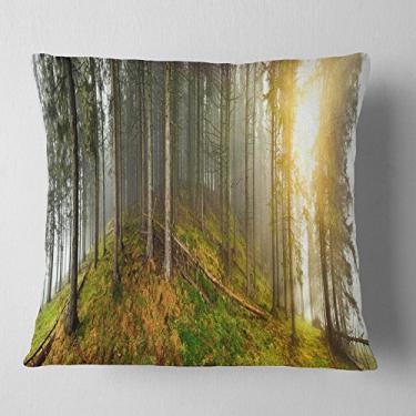 Imagem de Fotografia Designart Early Morning Sun in Forest' Landscape Throw Living Room, Sofá, Travesseiro + Capa de almofada impressa em ambos os lados 45,72 cm x 45,72 cm