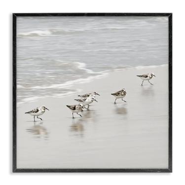 Imagem de Stupell Industries Pássaros Sandpiper Scurrying Design de arte giclée emoldurado preto por Natalie Carpentieri, 17 x 17