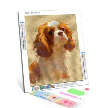 Imagem de MOER SKY Kit de pintura de diamante Cavalier King Charles Spaniel, artesanato divertido DIY para adultos, tela de arte de diamante redondo para iniciantes, 30 x 40 cm