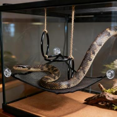 Imagem de Swirge 2 peças de enriquecimento de cobra, brinquedos de escalada de cobra faça você mesmo com rede, acessórios de tanque de répteis para cobras de milho, dragão barbudo, camaleão, acessórios de