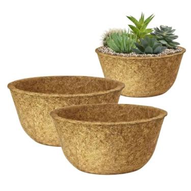 Imagem de Kit 2 Vaso Cuia Natural Xaxim de Fibra de Coco 19x12cm Ecológico Pequeno Único Para Planta Suculenta Cacto e Rosa do Deserto