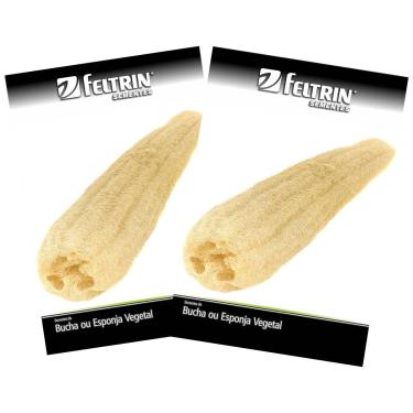 Imagem de FELTRIN, 2X Sementes de Esponja Vegetal (Bucha Bob) FELTRIN