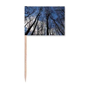 Imagem de Céu azul verde ciência silvicultura cenário natureza palito bandeiras marcador topo decoração de festa