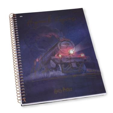 Imagem de Caderno Universitário Harry Potter 1 Matéria 96 Folhas Jandaia 63599-23