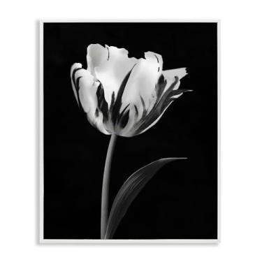 Imagem de Stupell Industries Arte giclée emoldurada de flor moderna Stark preto e branco, design por CAD Designs, 76 x 61 cm
