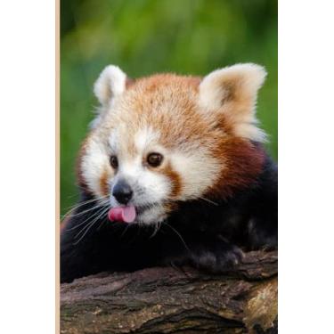 Imagem de Notebook: Cute Red Panda Notebook Journal For Animal Lovers | 6x9 120 Pages College Ruled Journal Diary